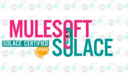 mulesoft